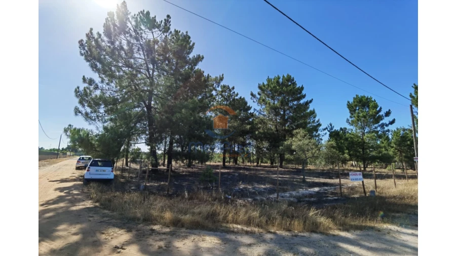 Terreno Agricola ou Rústico para Venda em Pinhal Novo Foto 3