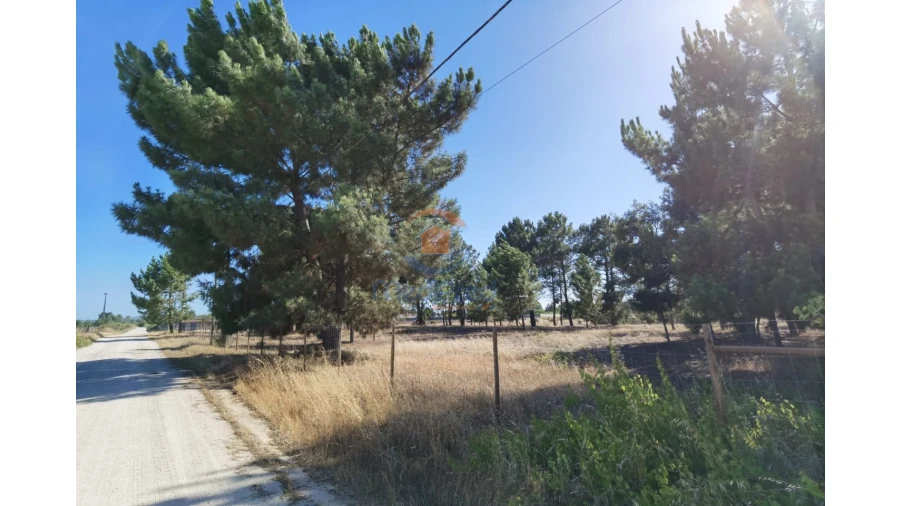 Terreno Agricola ou Rústico para Venda em Pinhal Novo Foto 4