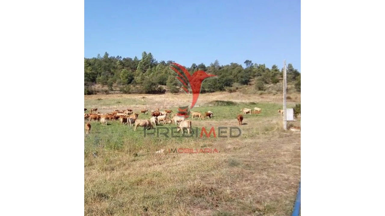 Quinta para Venda em Agrobom, Saldonha e Vale Pereiro Foto 8