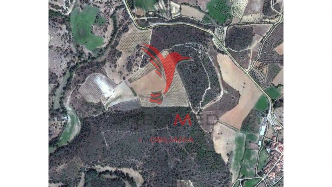 Quinta para Venda em Agrobom, Saldonha e Vale Pereiro Foto 3