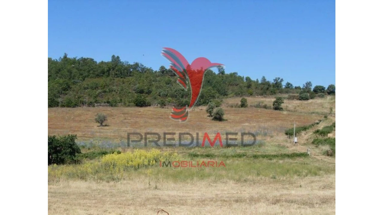 Quinta para Venda em Agrobom, Saldonha e Vale Pereiro Foto 5