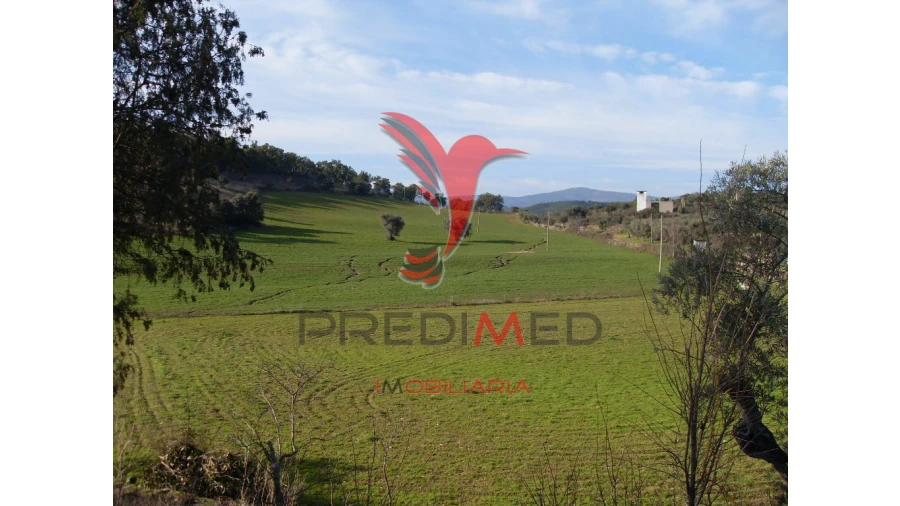 Quinta para Venda em Agrobom, Saldonha e Vale Pereiro Foto 2