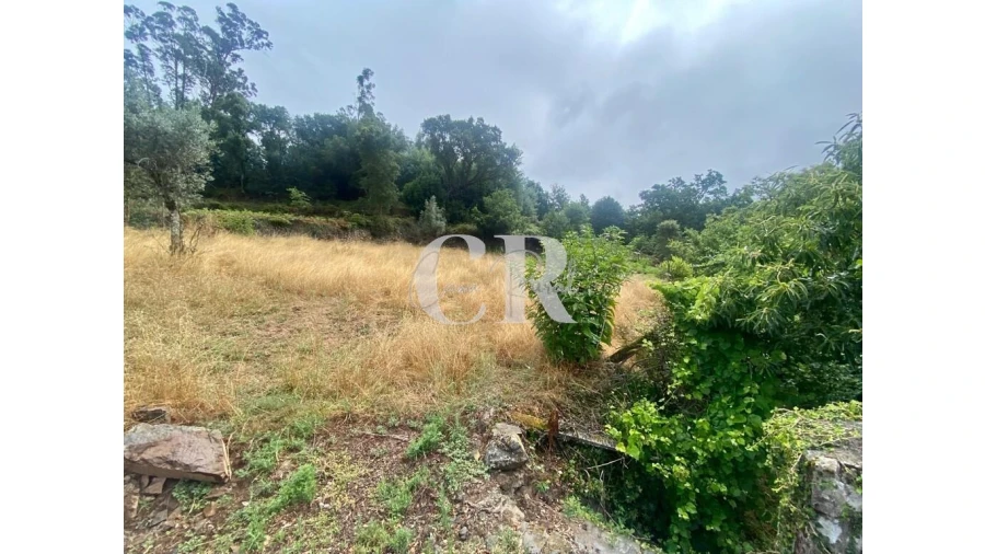 Moradia T3 para Venda em Campelo Foto 52