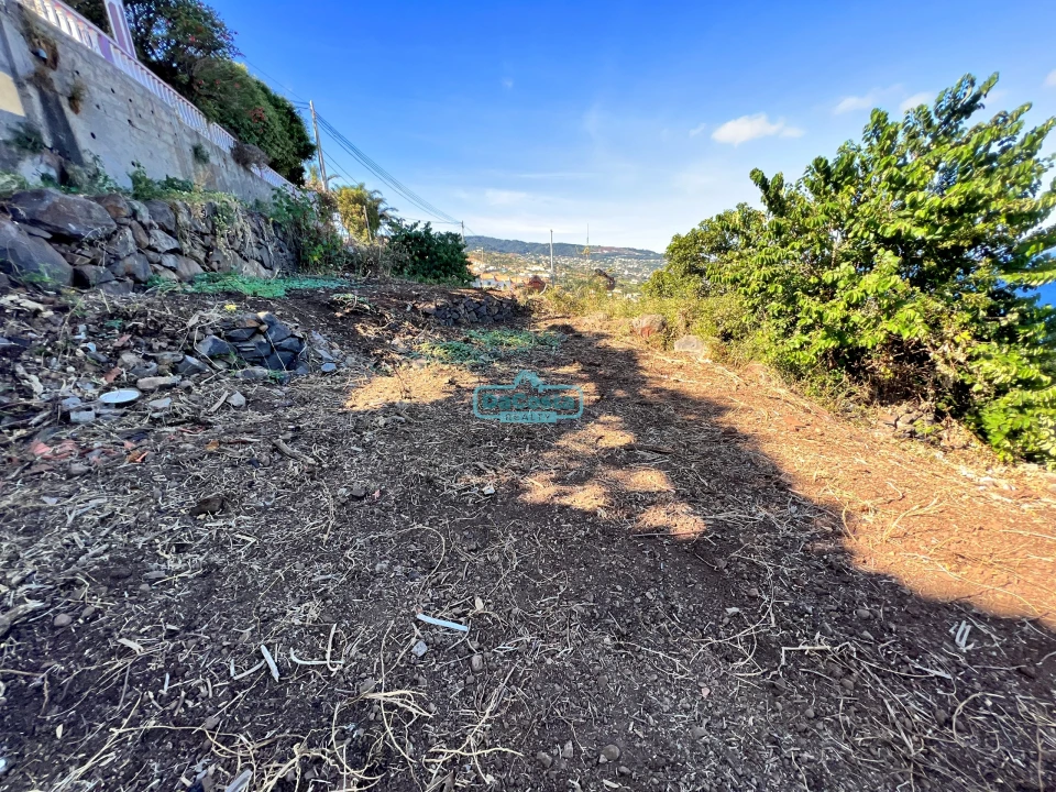 Terreno para Venda em Gaula Foto 35