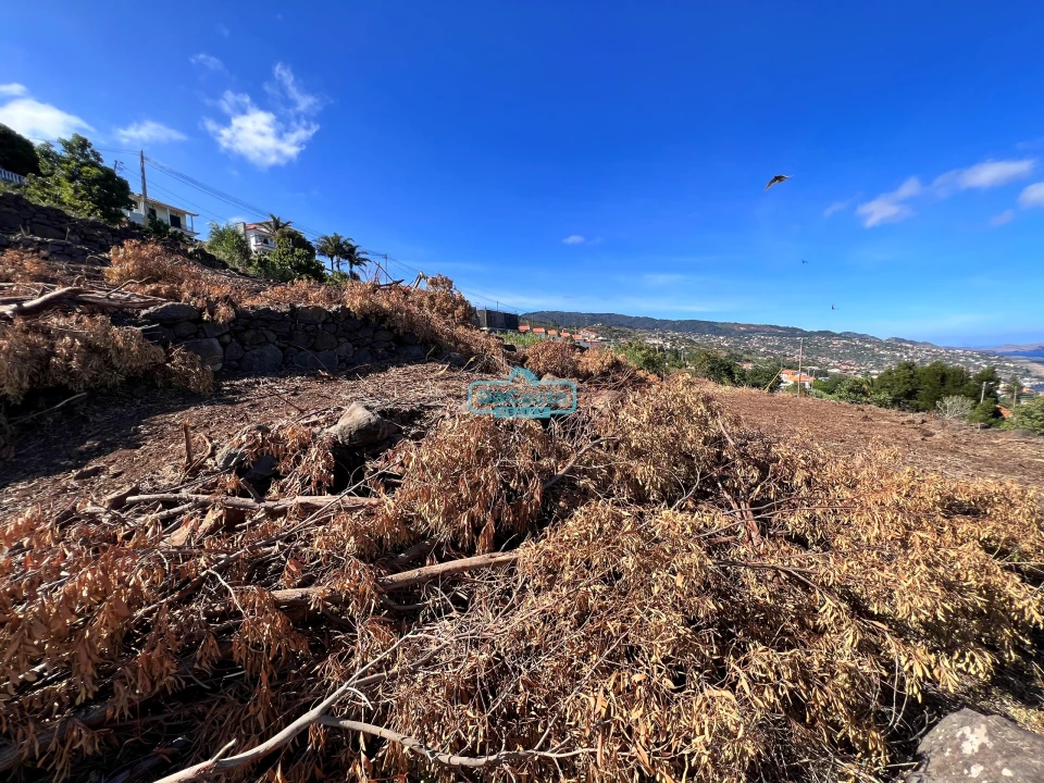 Terreno para Venda em Gaula Foto 21