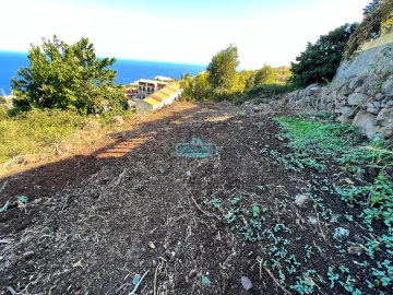 Terreno para Venda em Gaula