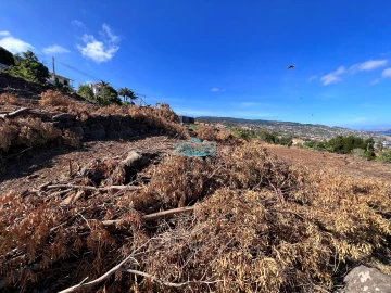 Terreno para Venda em Gaula