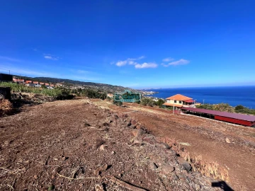 Terreno para Venda em Gaula