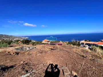 Terreno para Venda em Gaula