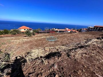 Terreno para Venda em Gaula