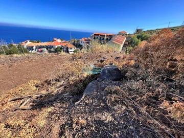 Terreno para Venda em Gaula