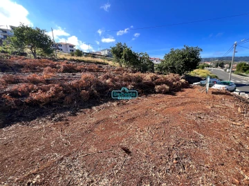 Terreno para Venda em Gaula