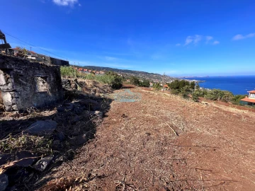 Terreno para Venda em Gaula