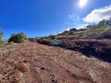 Terreno para Venda em Gaula