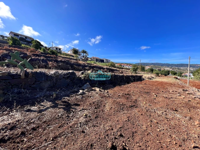 Terreno para Venda em Gaula Foto 7