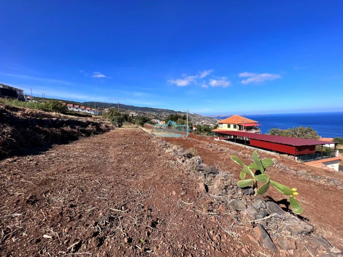 Terreno para Venda em Gaula Foto 12