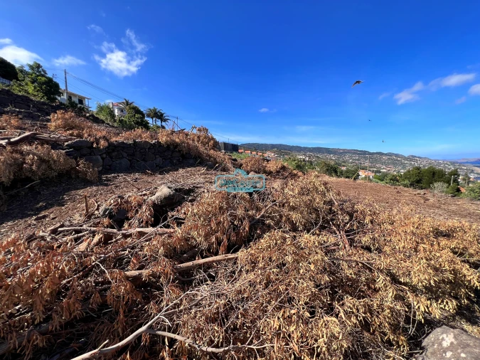 Terreno para Venda em Gaula Foto 21