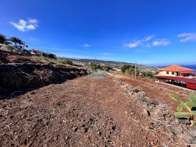 Terreno para Venda em Gaula Foto 11