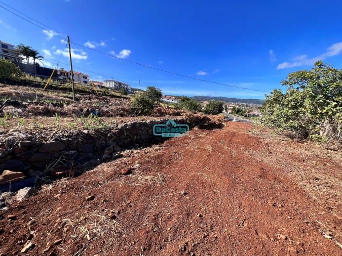 Terreno para Venda em Gaula Foto 5