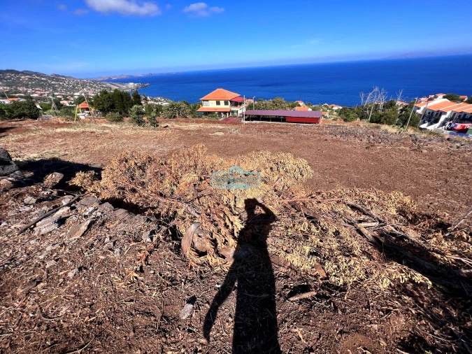 Terreno para Venda em Gaula Foto 23