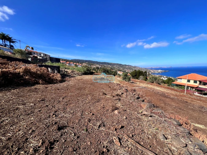 Terreno para Venda em Gaula Foto 18
