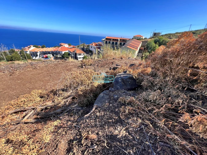 Terreno para Venda em Gaula Foto 24