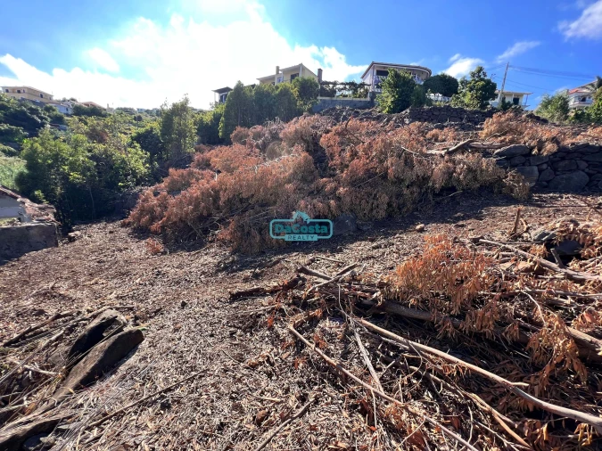Terreno para Venda em Gaula Foto 20