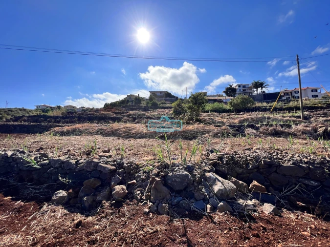 Terreno para Venda em Gaula Foto 6