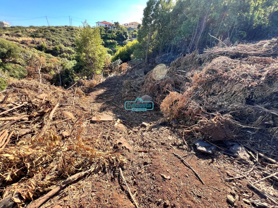 Terreno para Venda em Gaula Foto 31
