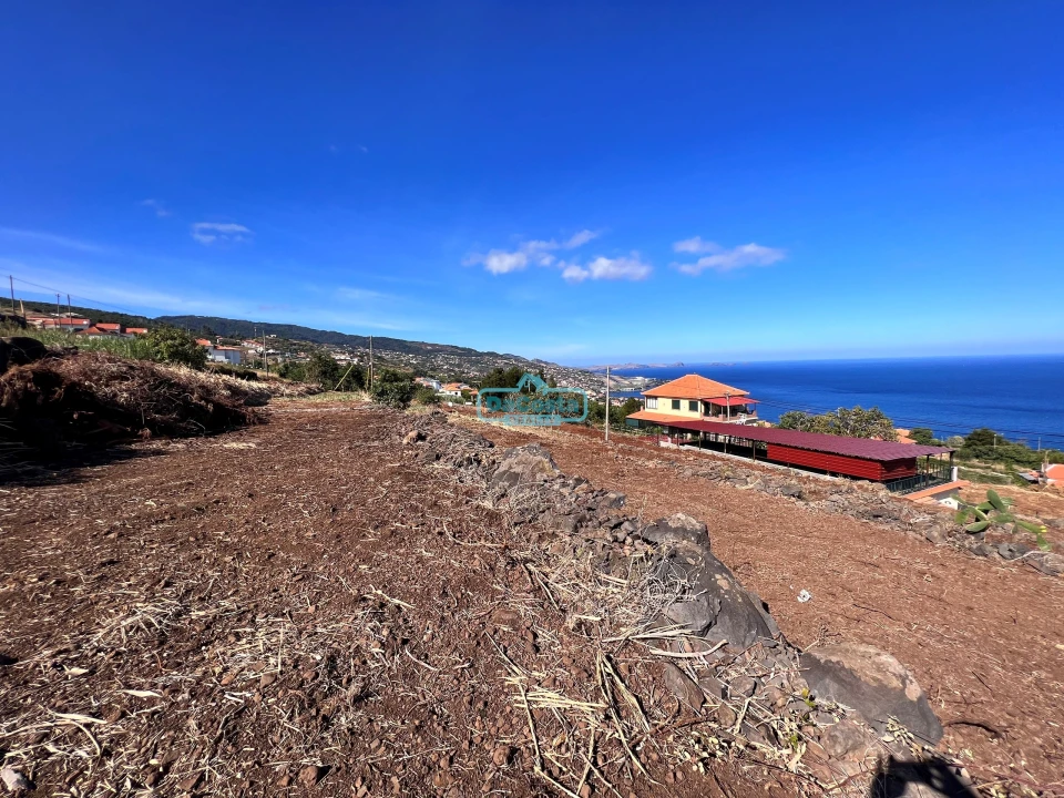 Terreno para Venda em Gaula Foto 13