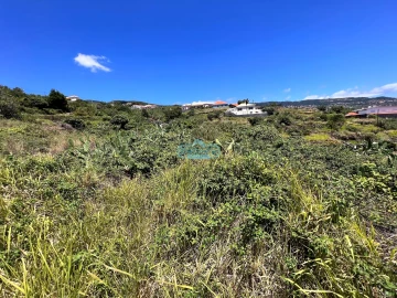 Terreno para Venda em Gaula