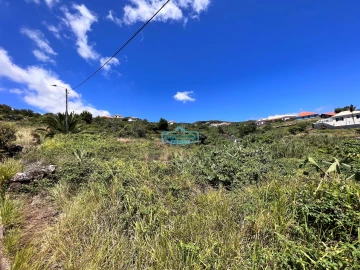 Terreno para Venda em Gaula