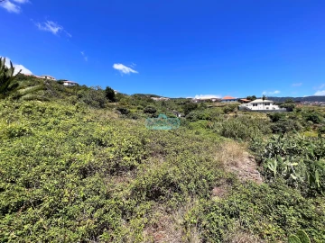 Terreno para Venda em Gaula
