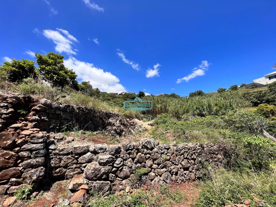Terreno para Venda em Gaula Foto 10