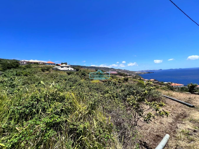 Terreno para Venda em Gaula Foto 5