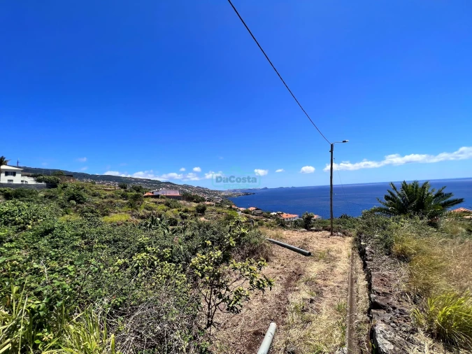 Terreno para Venda em Gaula Foto 4