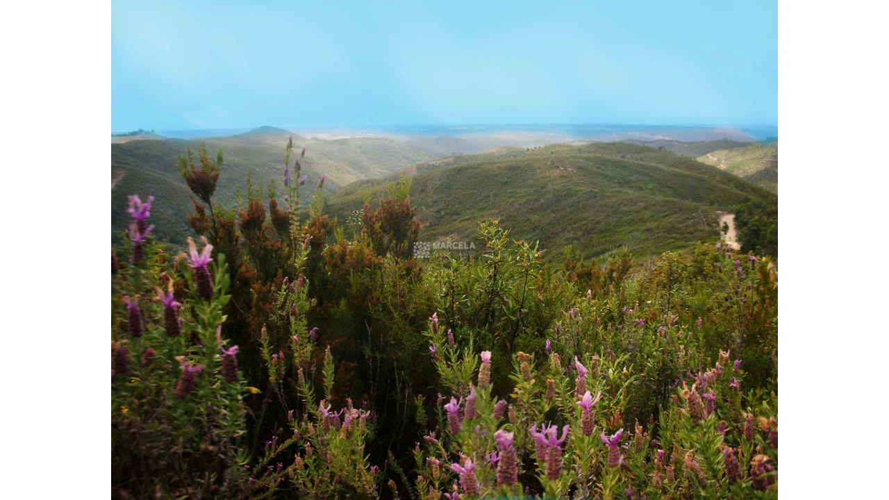 Moradia T1 para Venda em Odeceixe Foto 9