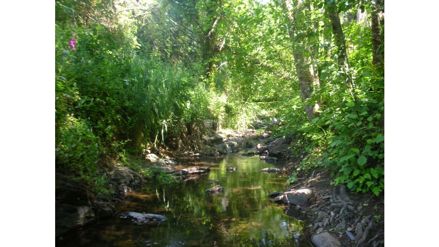 Moradia T1 para Venda em Odeceixe Foto 10