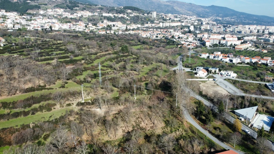 Terreno para Venda em Boidobra Foto 11