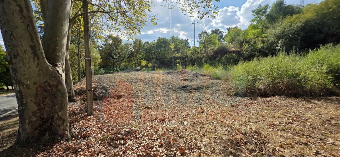 Terreno para Venda em Boidobra Foto 30