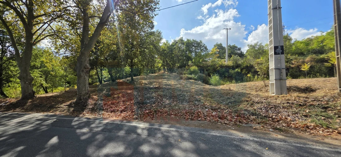 Terreno para Venda em Boidobra Foto 27