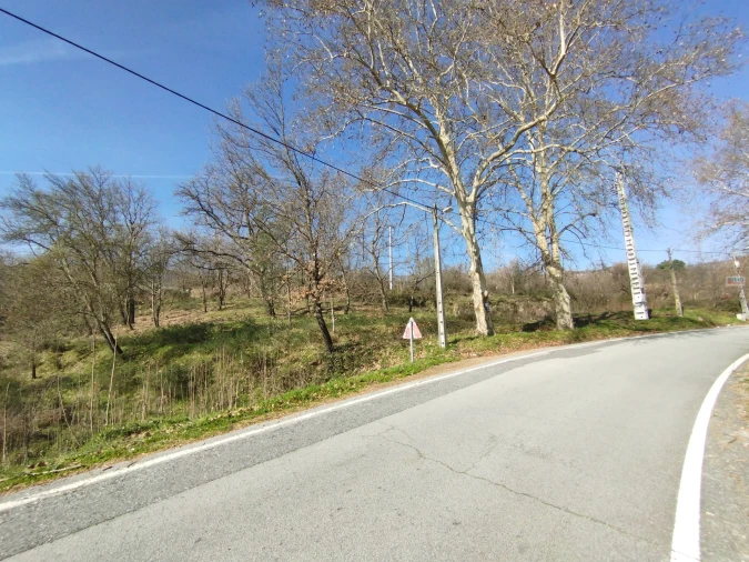 Terreno para Venda em Boidobra Foto 20