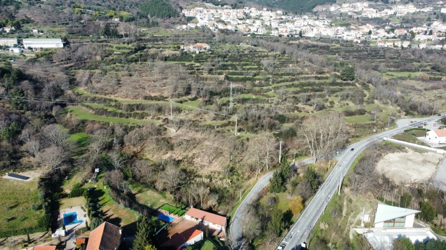 Terreno para Venda em Boidobra Foto 10