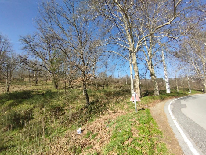 Terreno para Venda em Boidobra Foto 21