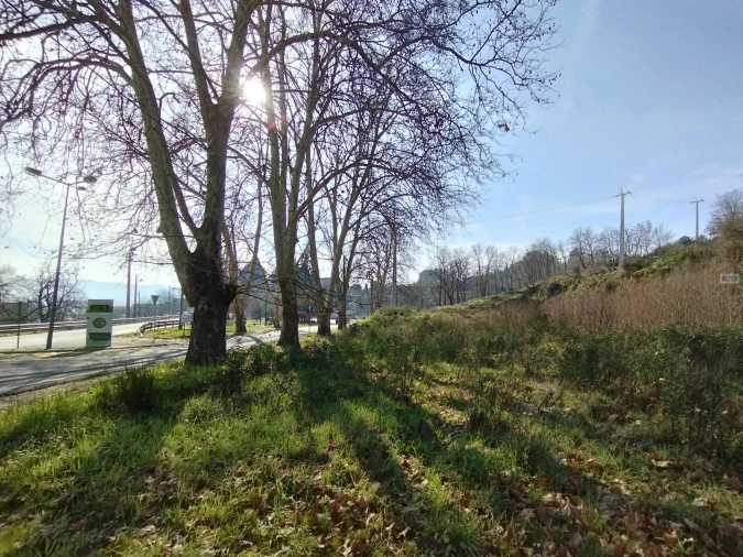 Terreno para Venda em Boidobra Foto 15