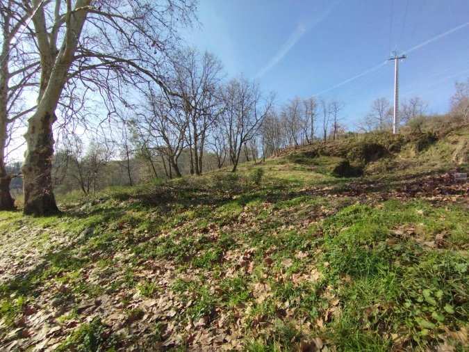 Terreno para Venda em Boidobra Foto 22