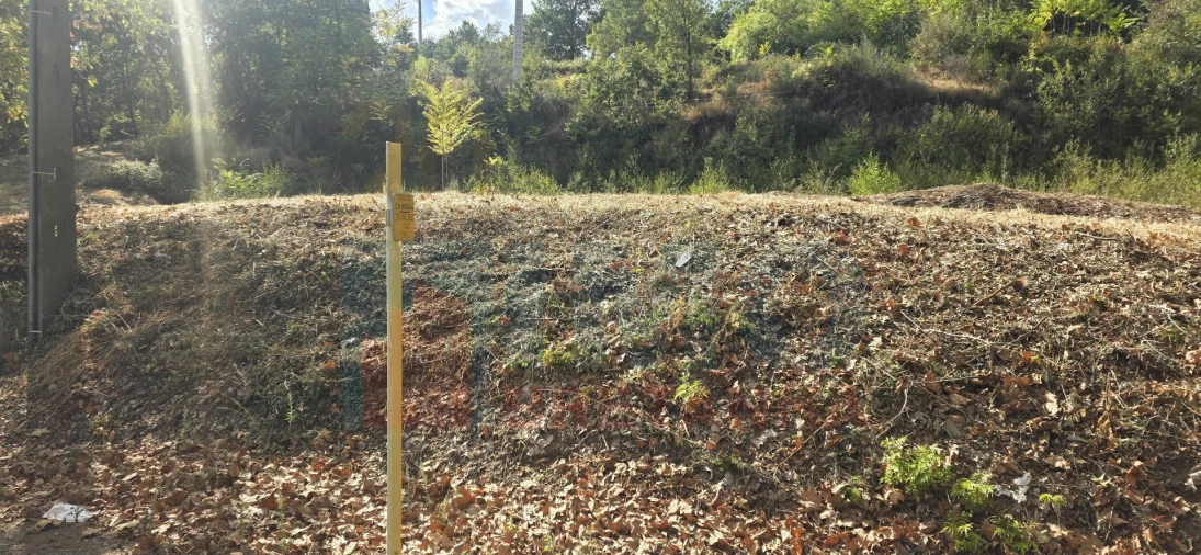 Terreno para Venda em Boidobra Foto 26