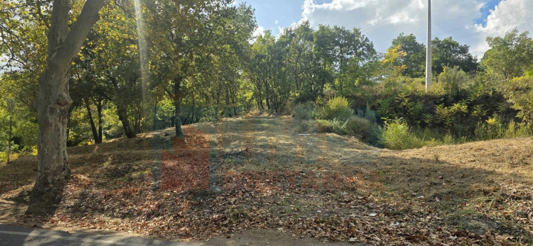 Terreno para Venda em Boidobra Foto 25