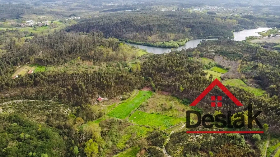 Terreno Agricola ou Rústico para Venda em Oliveira de Frades, Souto de Lafões e Sejães Foto 1