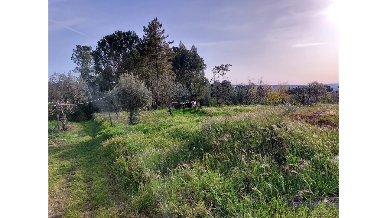Moradia T1 para Venda em Fornos de Maceira Dão Foto 7